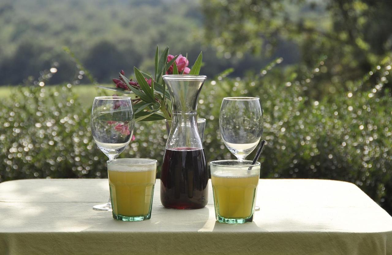 Villa Hrast Bacva Višnjan Dış mekan fotoğraf