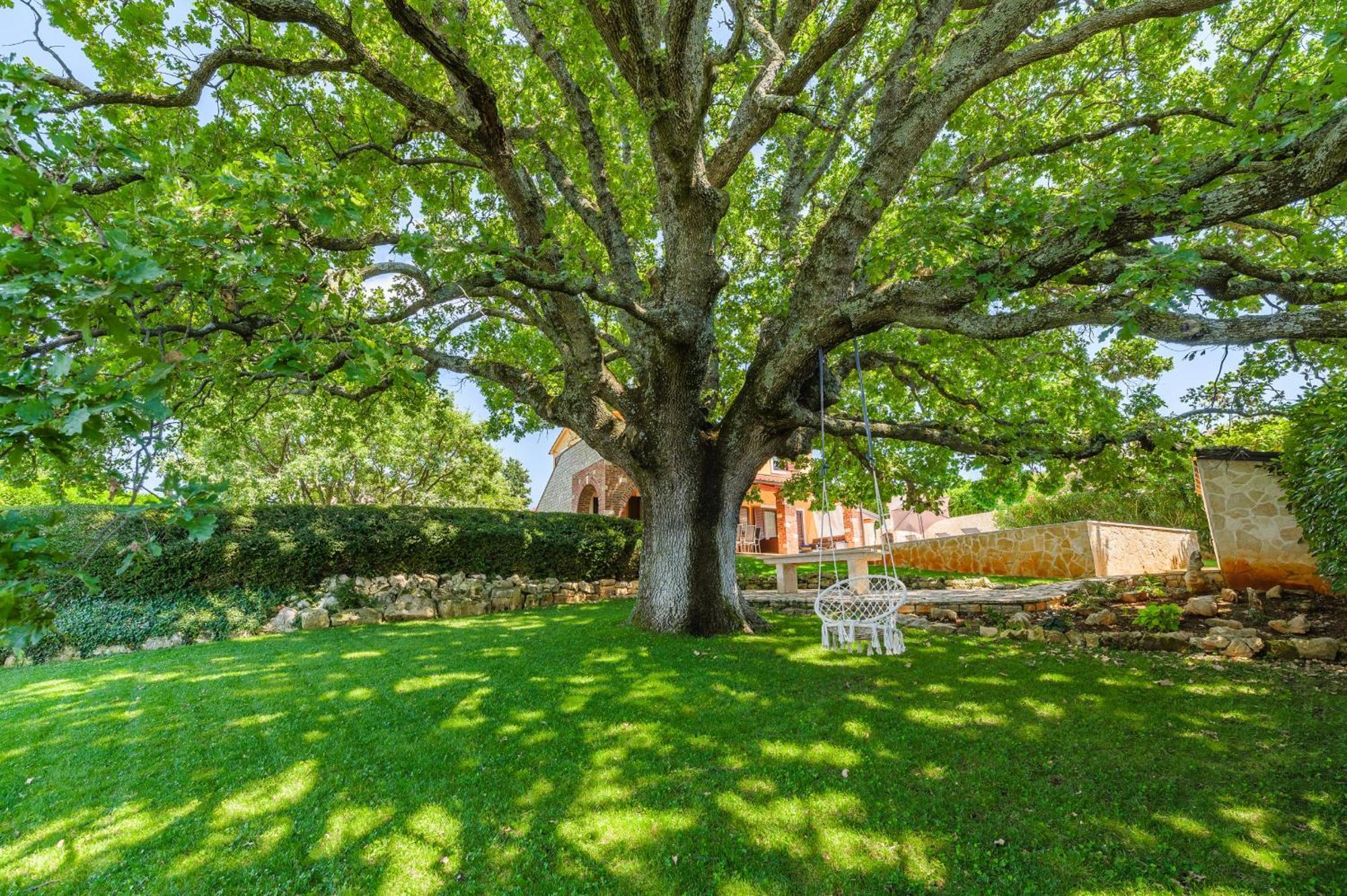 Villa Hrast Bacva Višnjan Dış mekan fotoğraf
