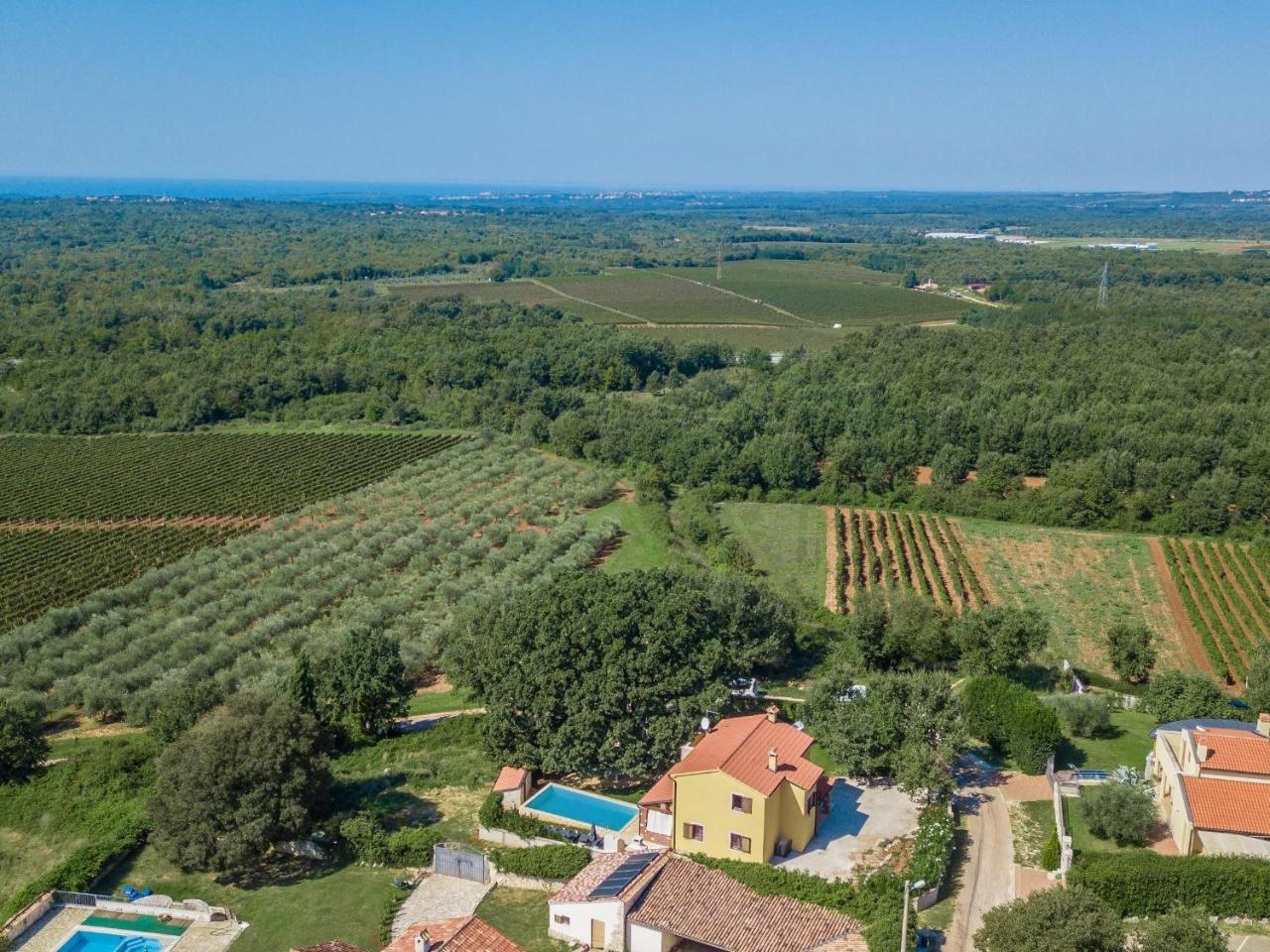 Villa Hrast Bacva Višnjan Dış mekan fotoğraf